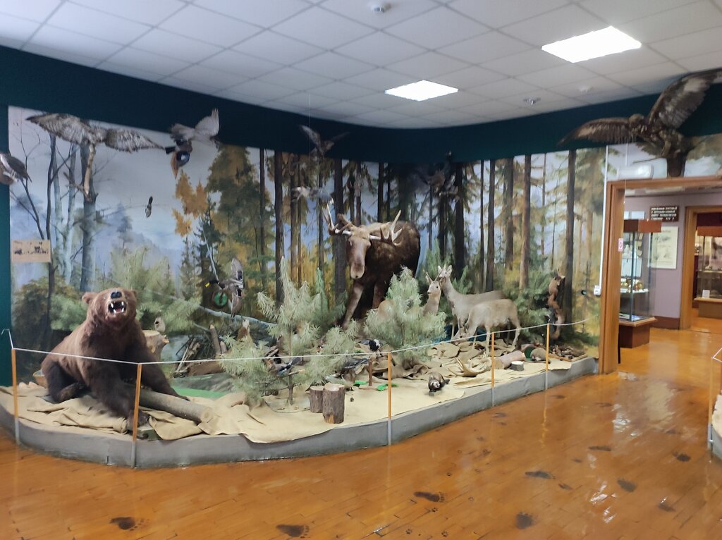 متحف Novozybkov museum of local lore ، ، صورة