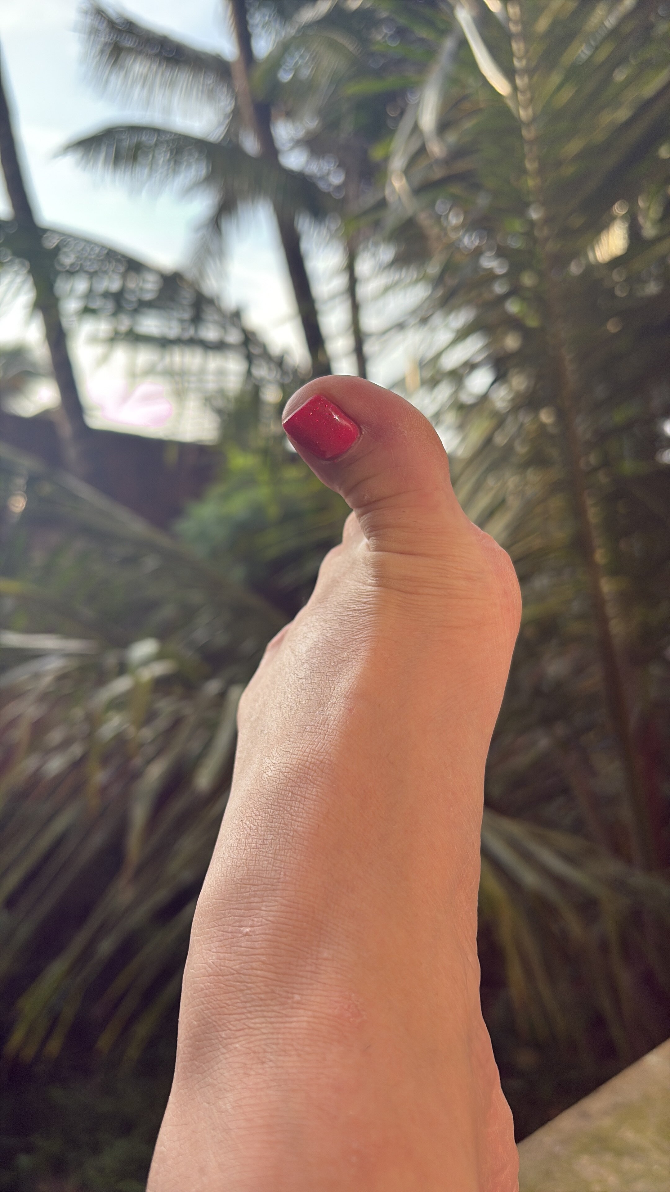 Фото Poonam Village Resort