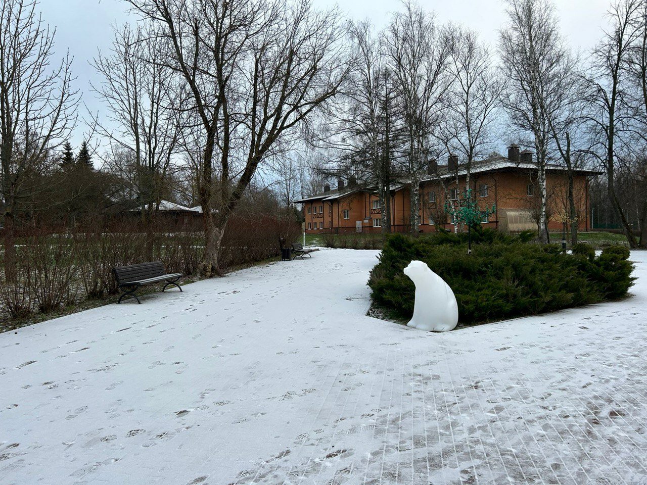Фото Искра