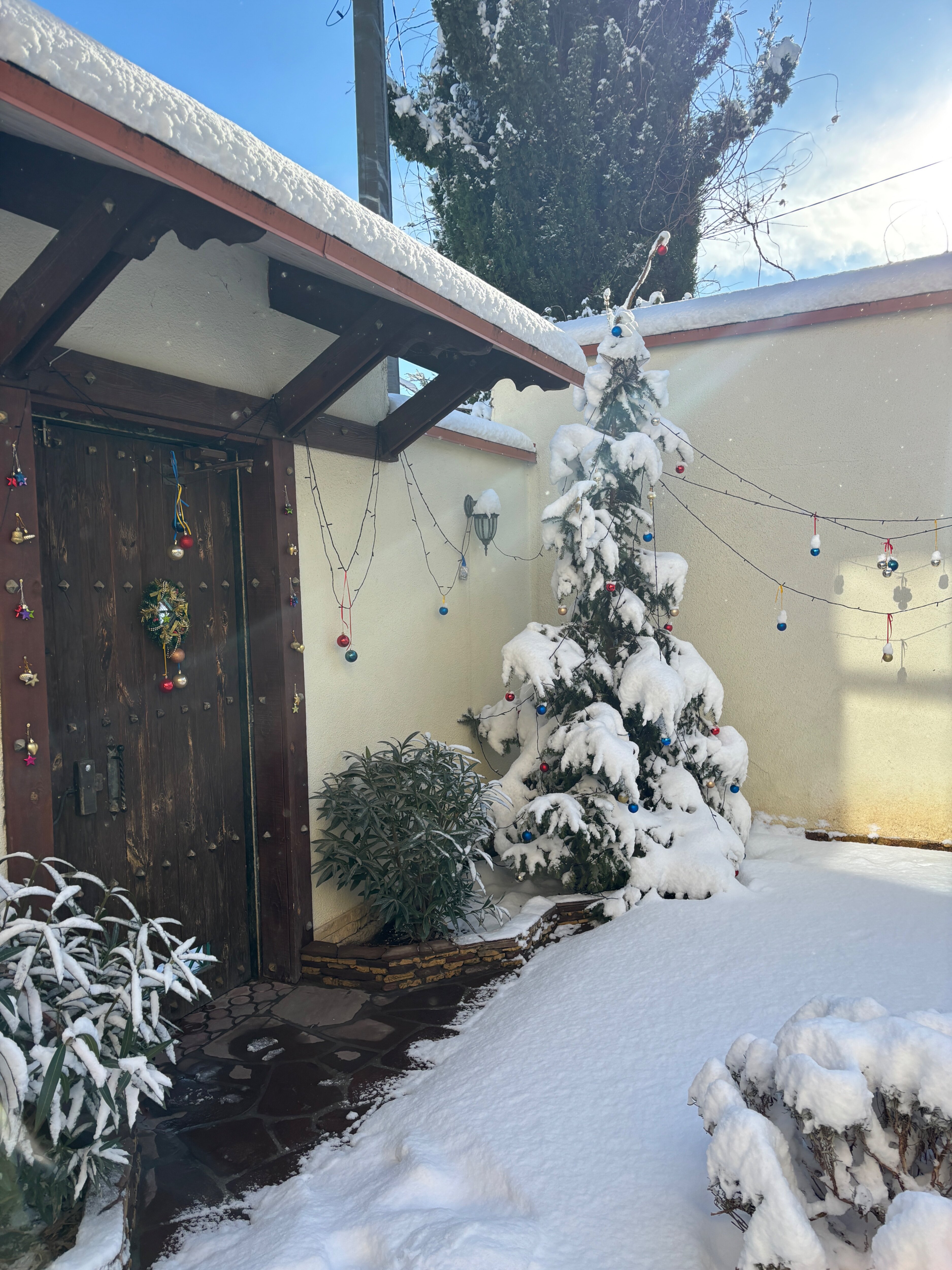 Фото Рахиль