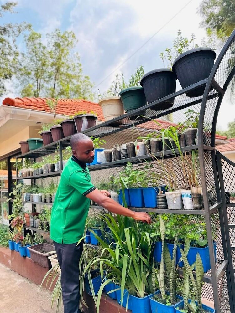 Фото The Explorers Hub