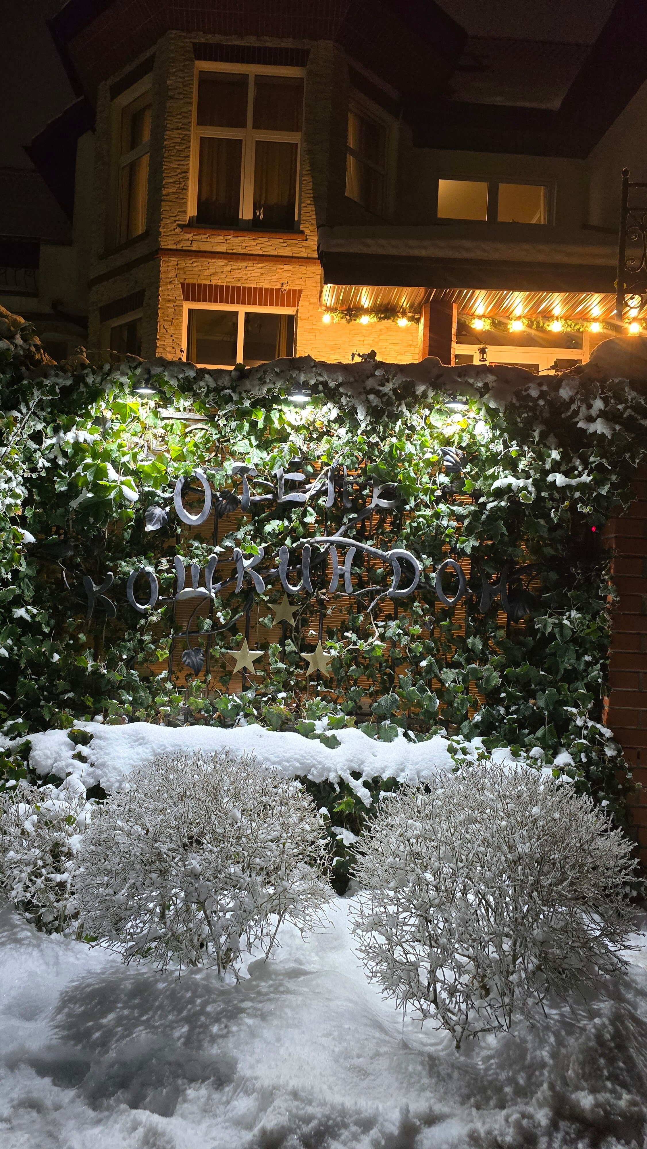 Фото Кошкин дом