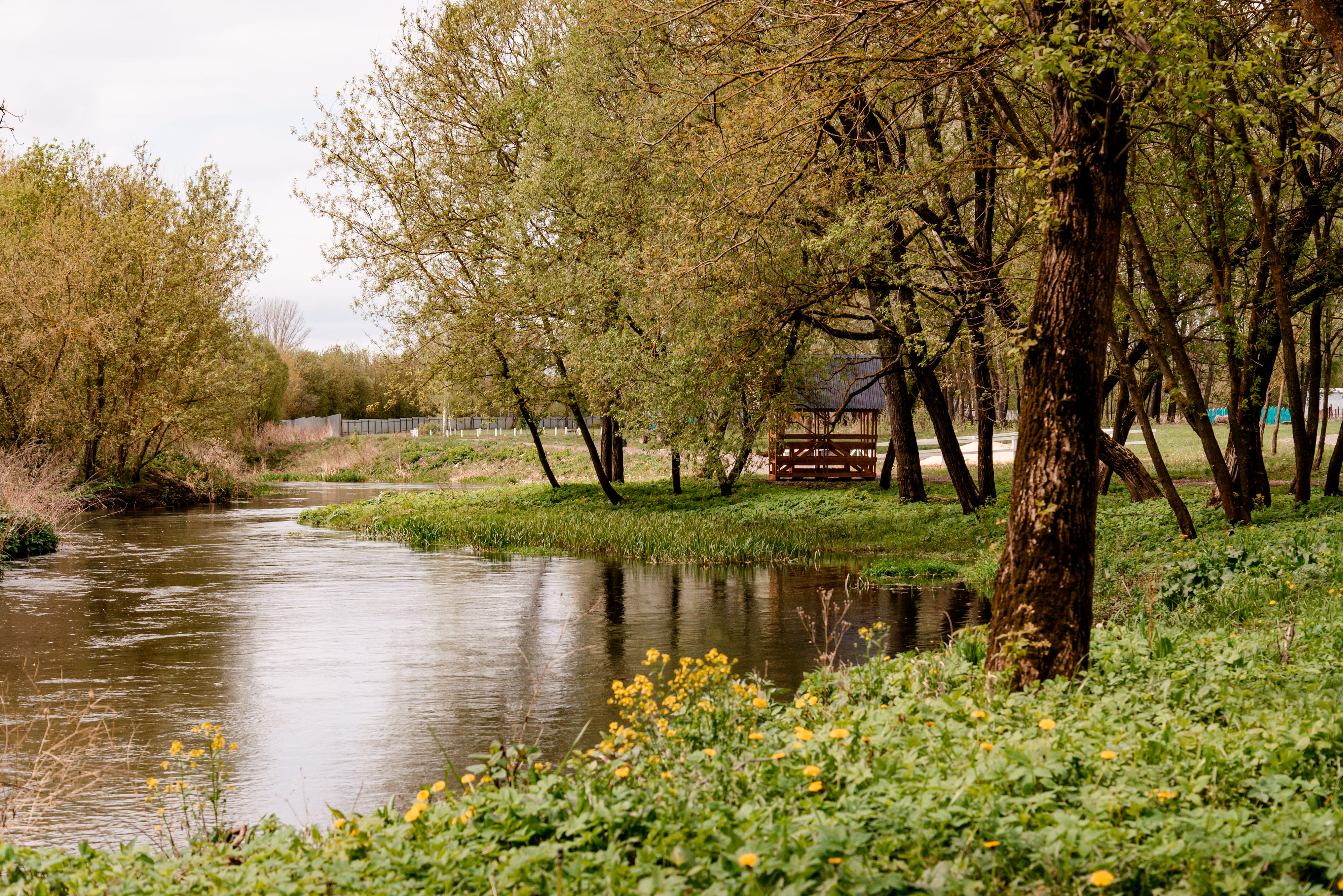 Фото Ранчо Вестерн