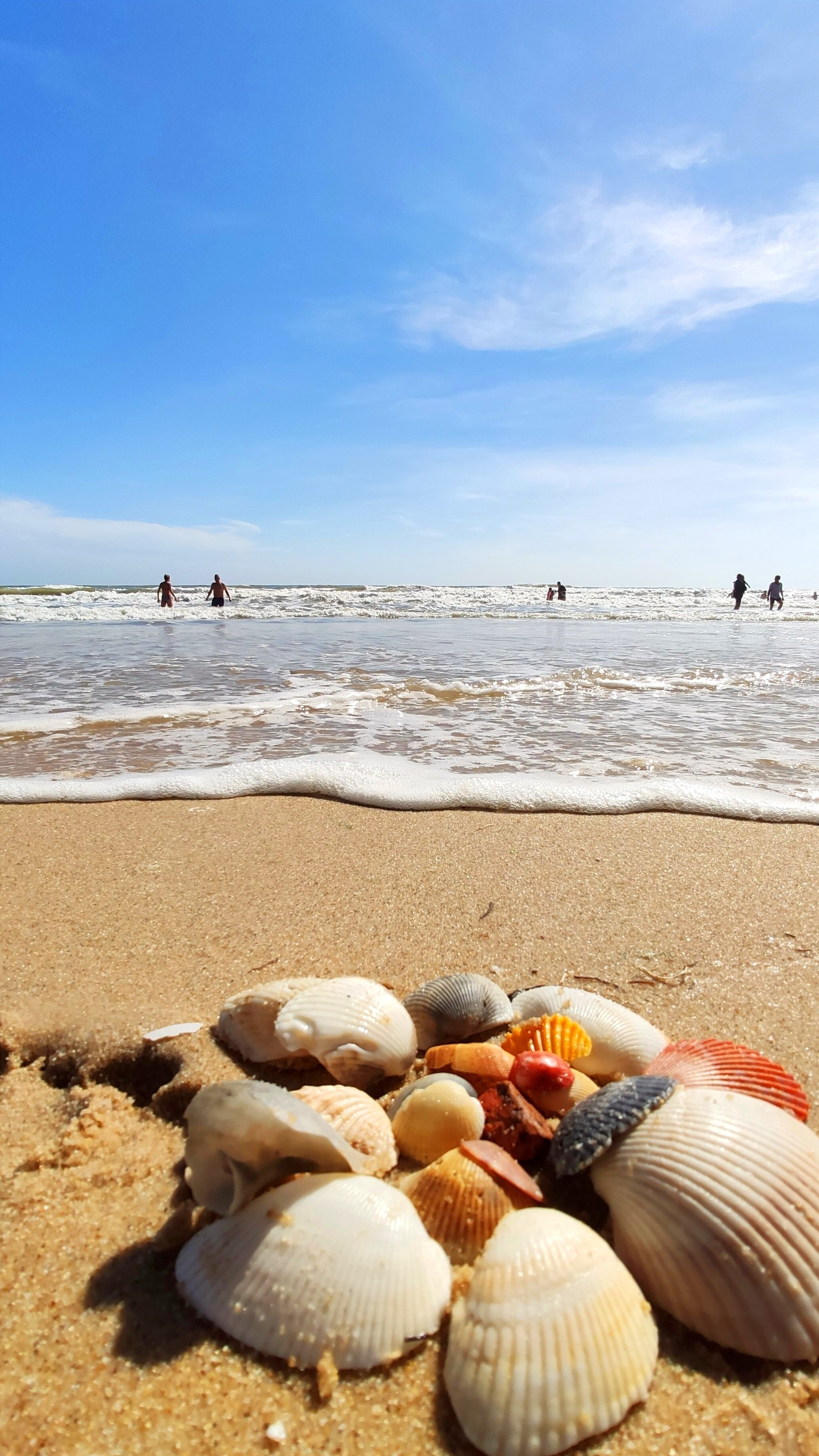 Фото Sonata Resort & SPA