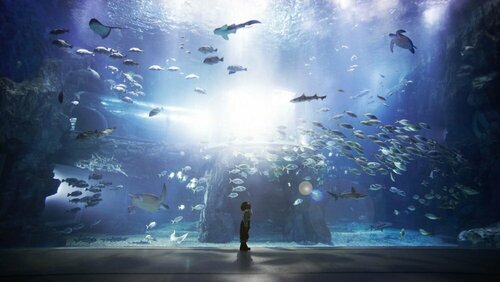 Внешний вид отеля Sono Calm Yeosu в Йосу, фото 5