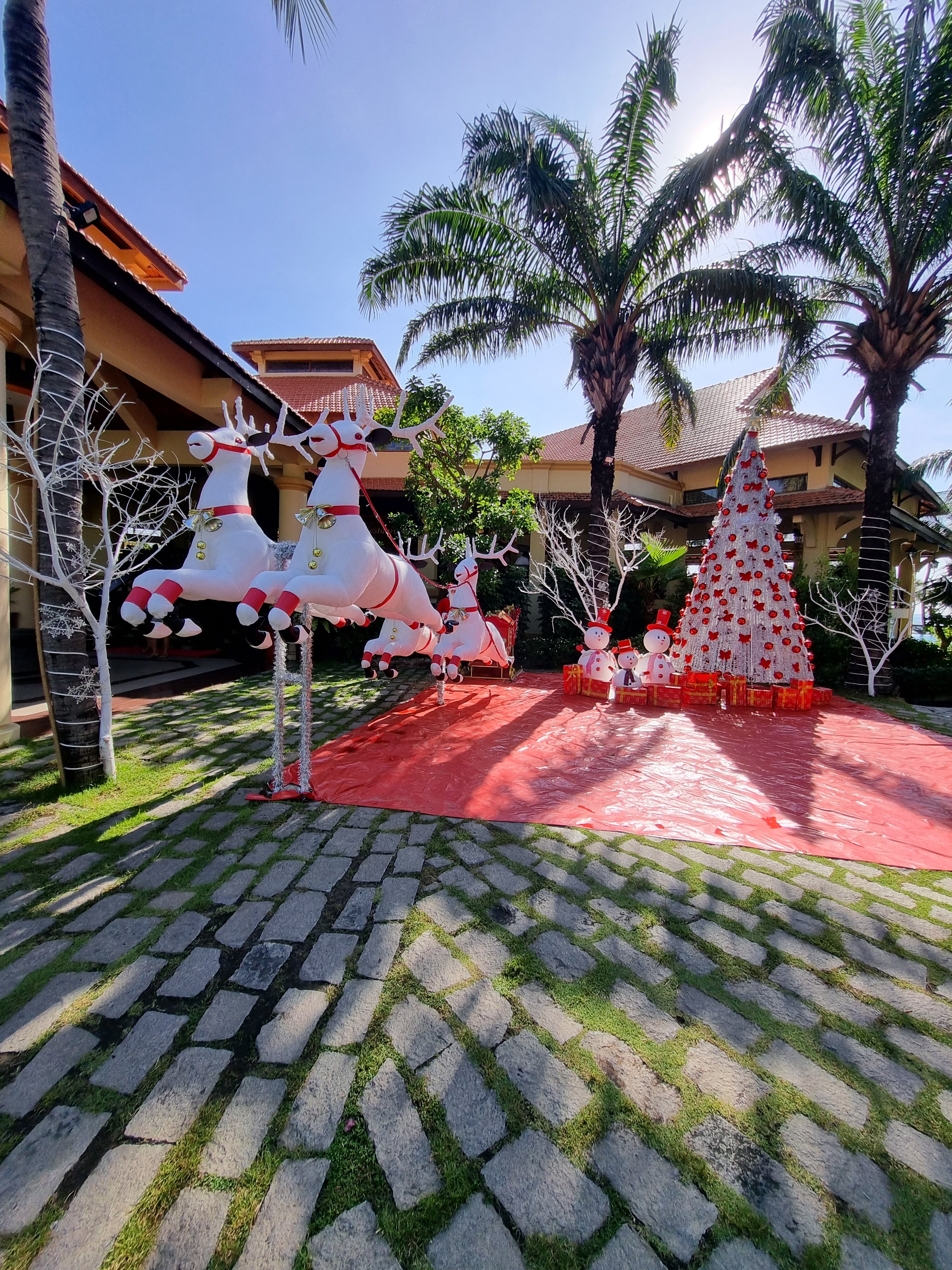 Фото Sunny Beach Resort