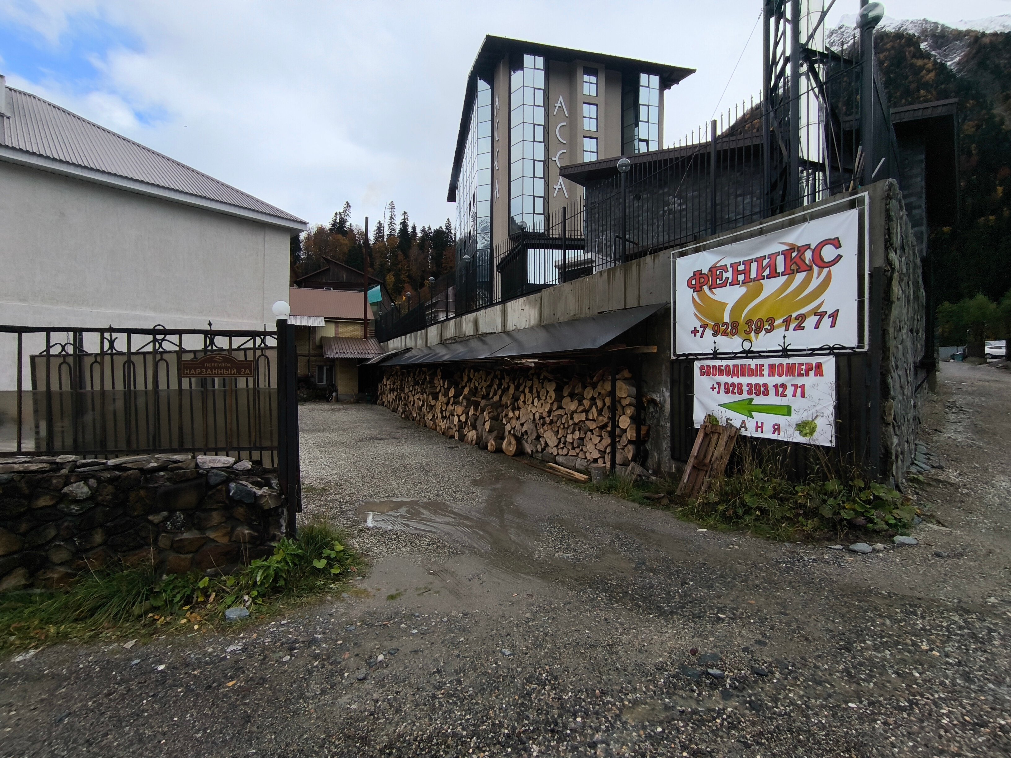 Фото Феникс