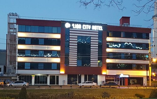 Гостиница Lion City Hotel в Османгази