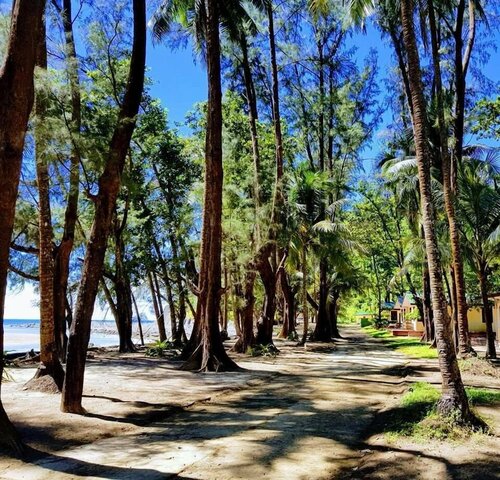 Гостиница Coconut Island Resort Ngapali в Сандоуэе