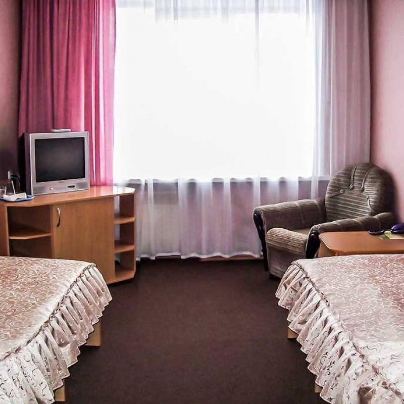 Фото Гвоздика
