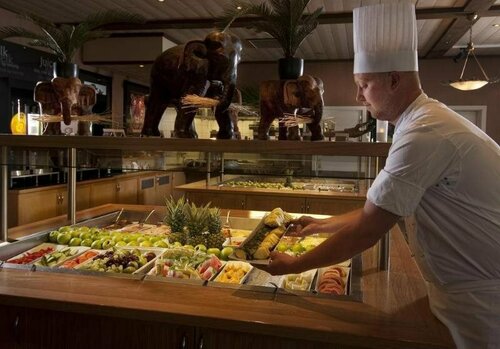 Гостиница Dyreparken Hotell в Вест-Агдере