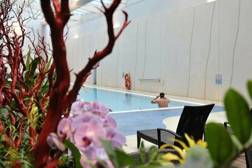 Гостиница Hilton Geneva Hotel and Conference Centre в Кантоне Женева
