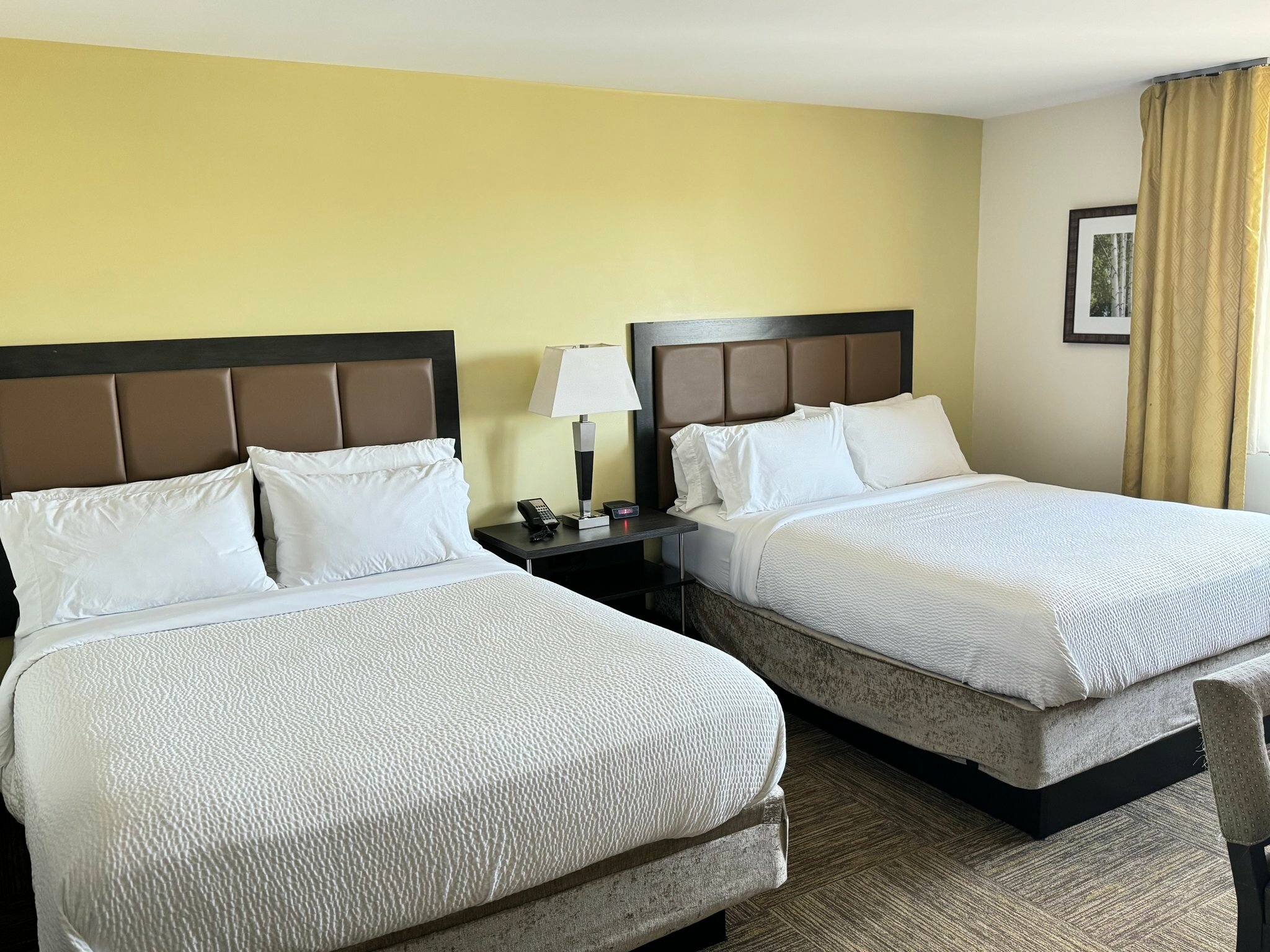 Фото Candlewood Suites Chester - Philadelphia International Airport, an Ihg Hotel