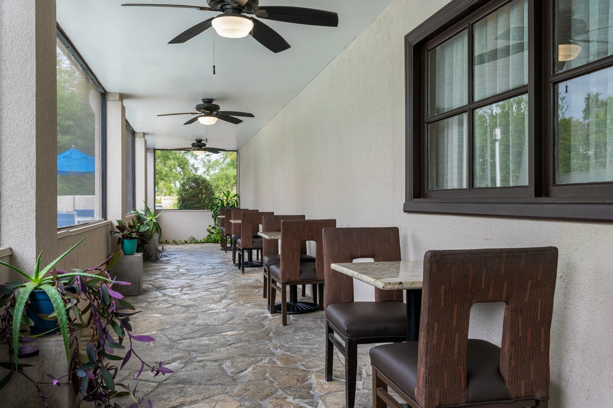 Фото Holiday Inn Express Tallahassee - I-10 E, an Ihg Hotel