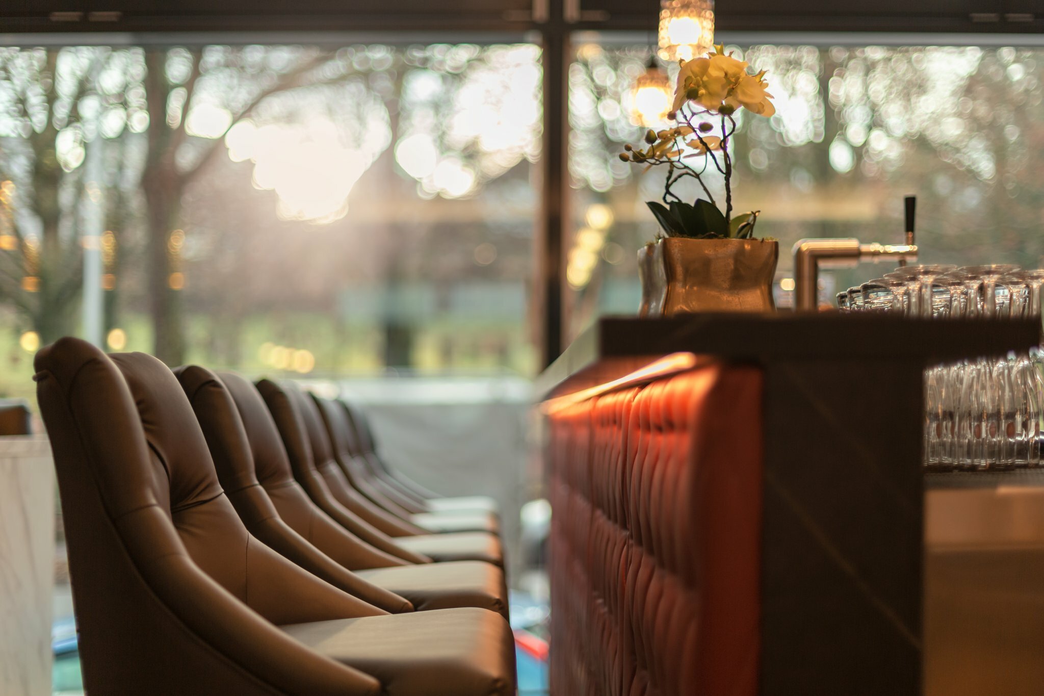 Фото The niu Mood