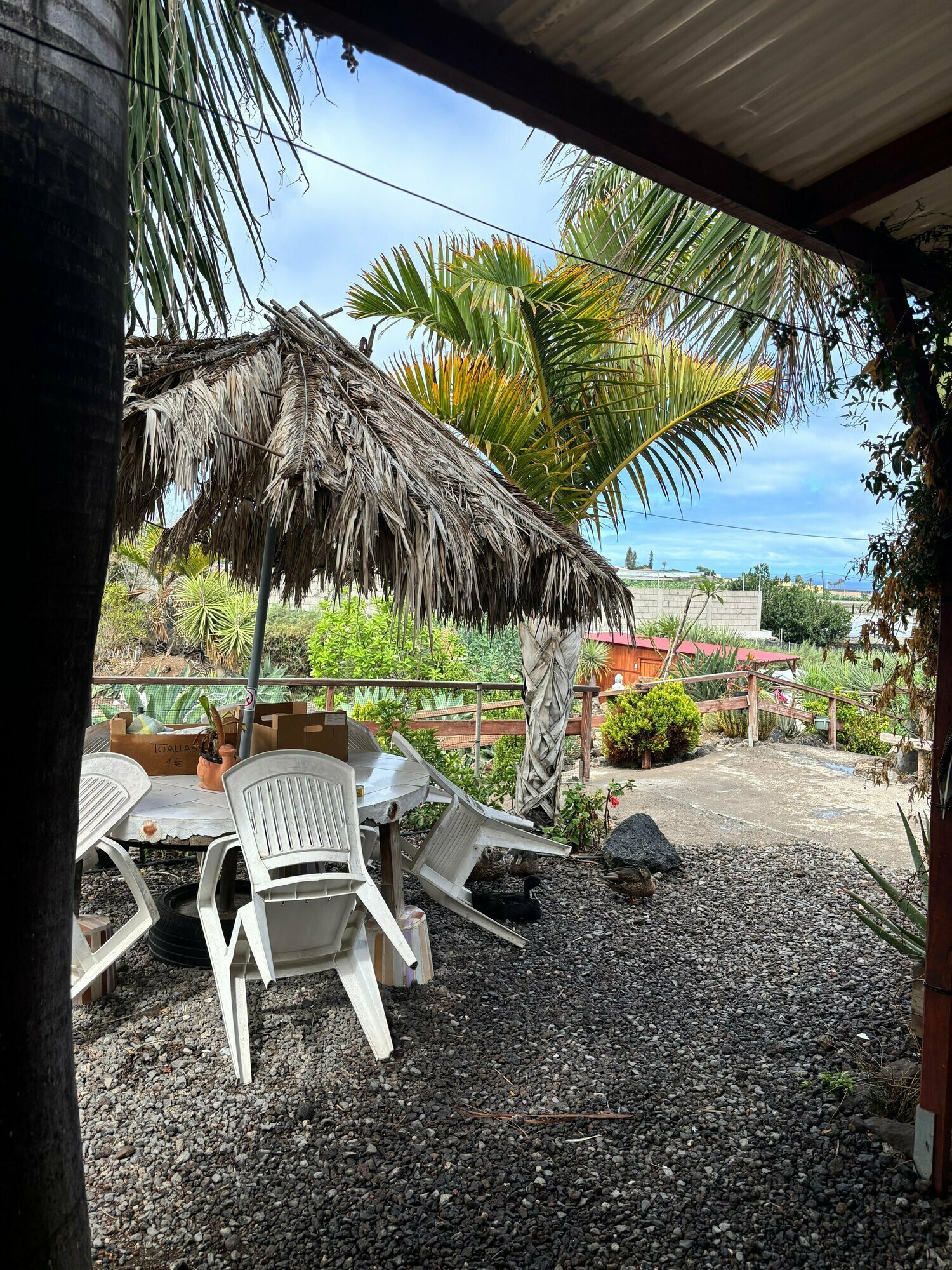 Фото Agro Camping Invernaderito