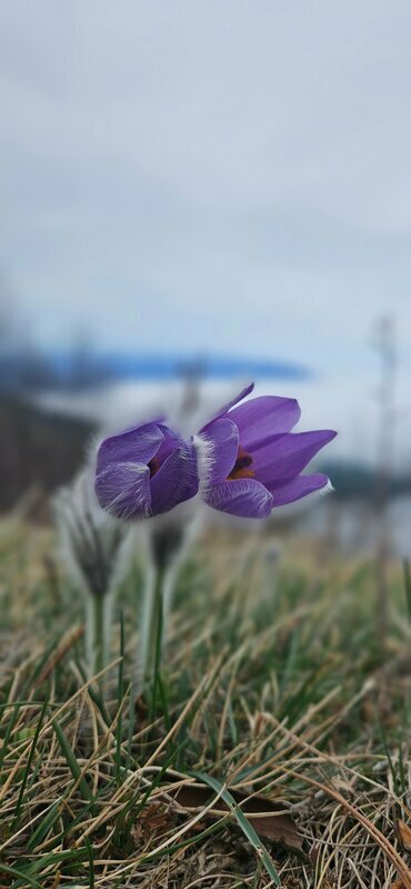 Охотничий дом — фото 21