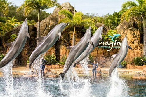 Гостиница Aristocrat Apartments в Голд-Кост