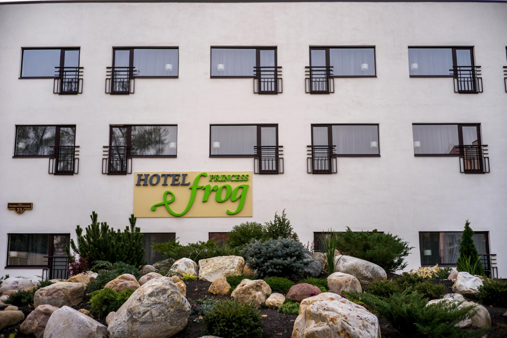 Фото Princess Frog