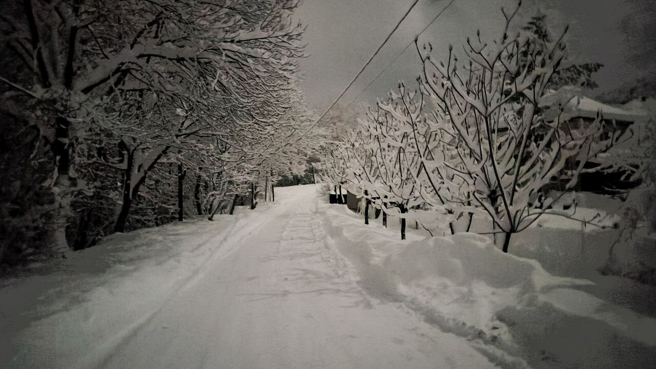 Фото Дом у Ручья