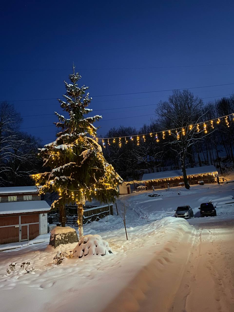Фото Салампи