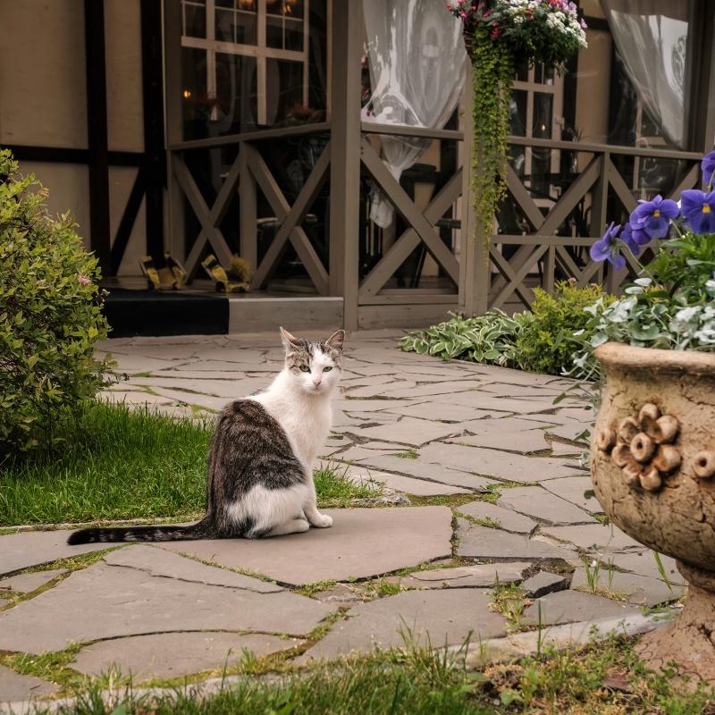 Фото Ближние Дубки