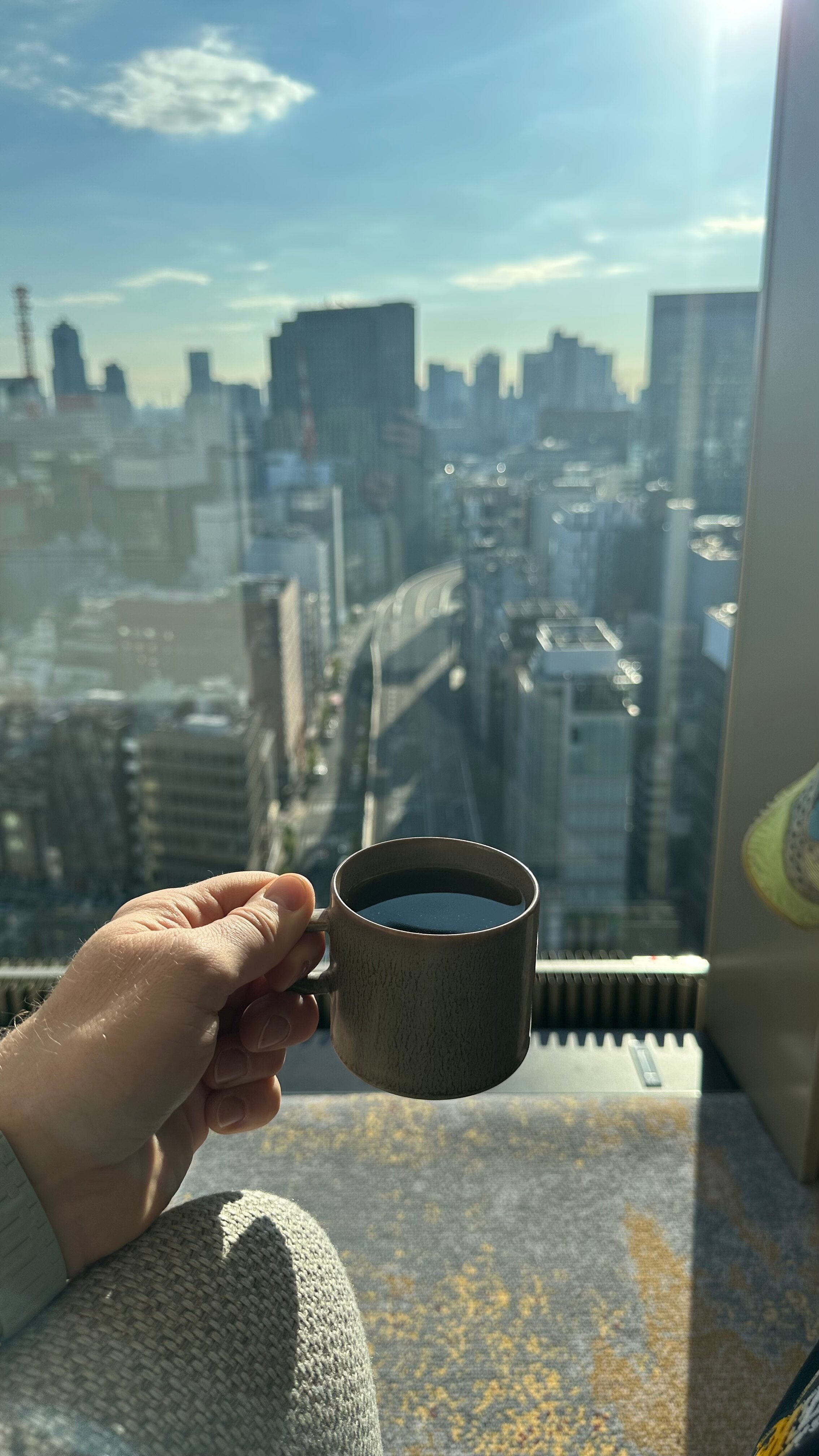 Фото Dai-ichi Hotel Tokyo