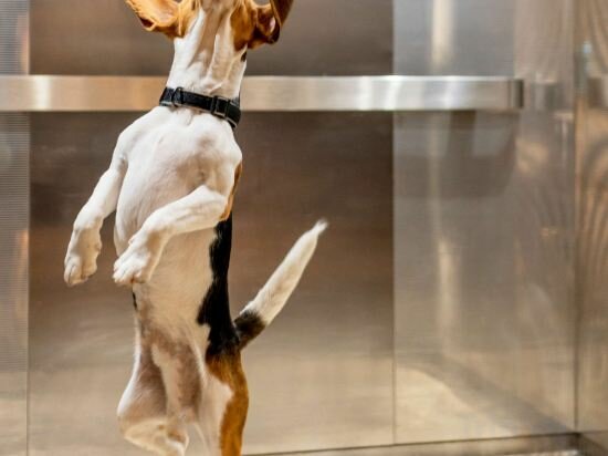 Фото Ibis Evora Hotel