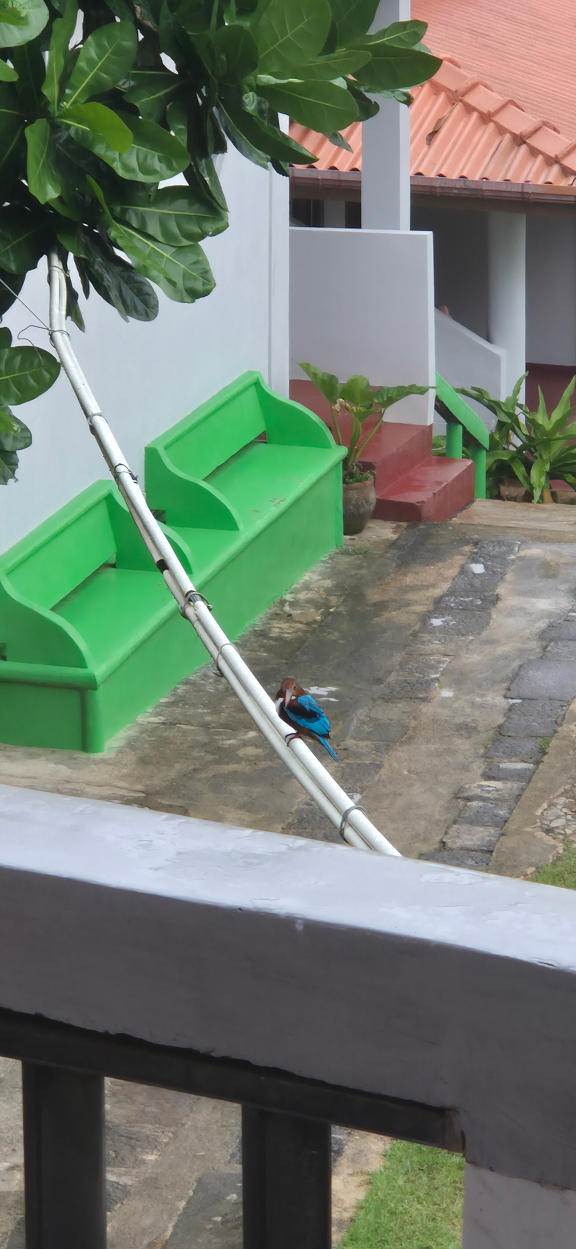 Фото Shanthi beach resort