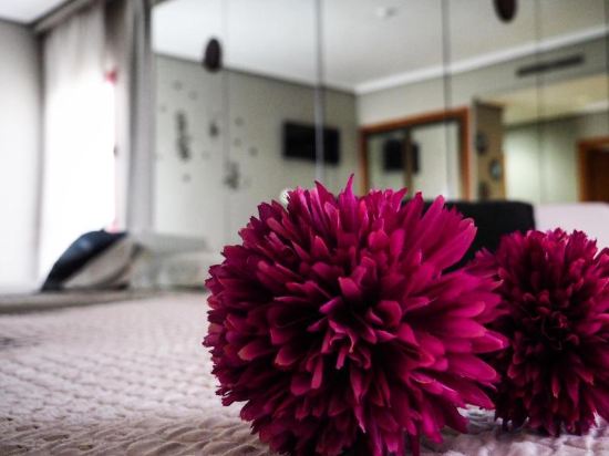 Фото Hotel Humanes