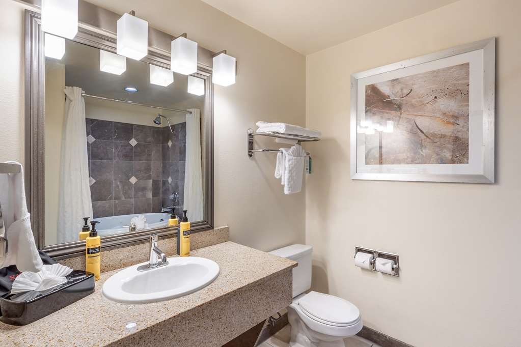 Фото Best Western Plus Orchid Hotel & Suites