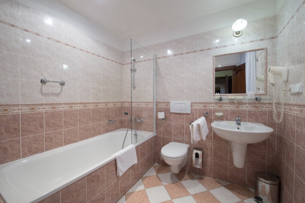 Фото Hotel Cerny Slon