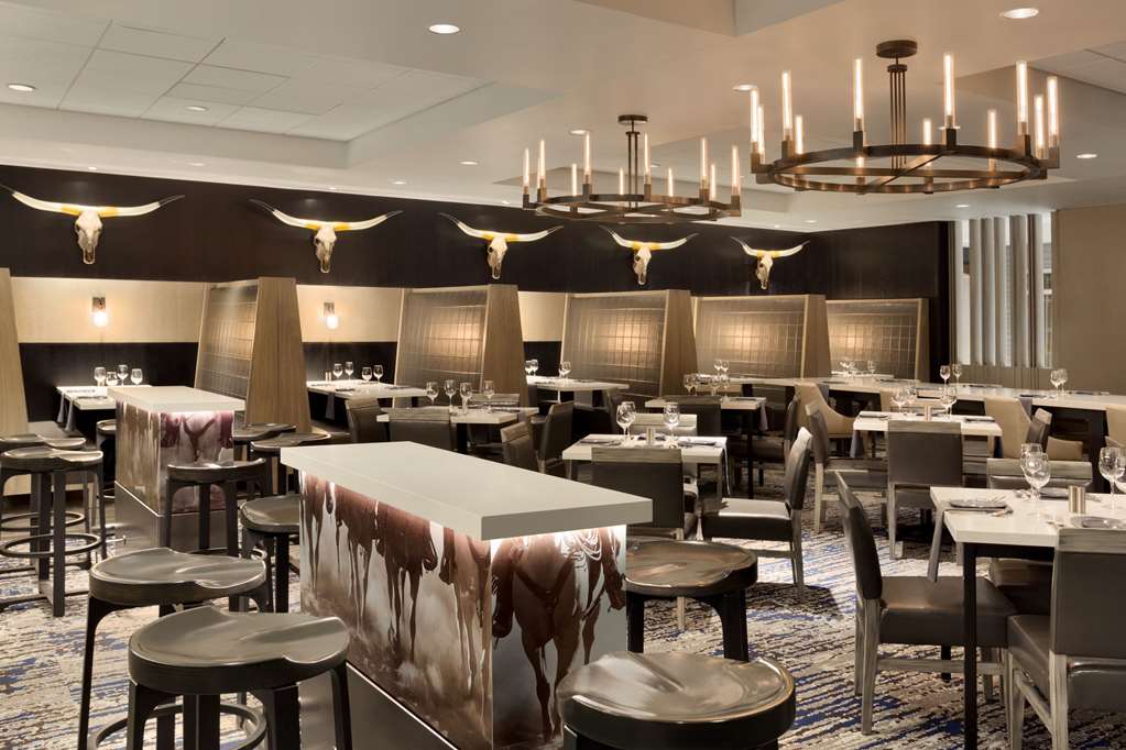 Фото Embassy Suites by Hilton Dallas Dfw Airport North