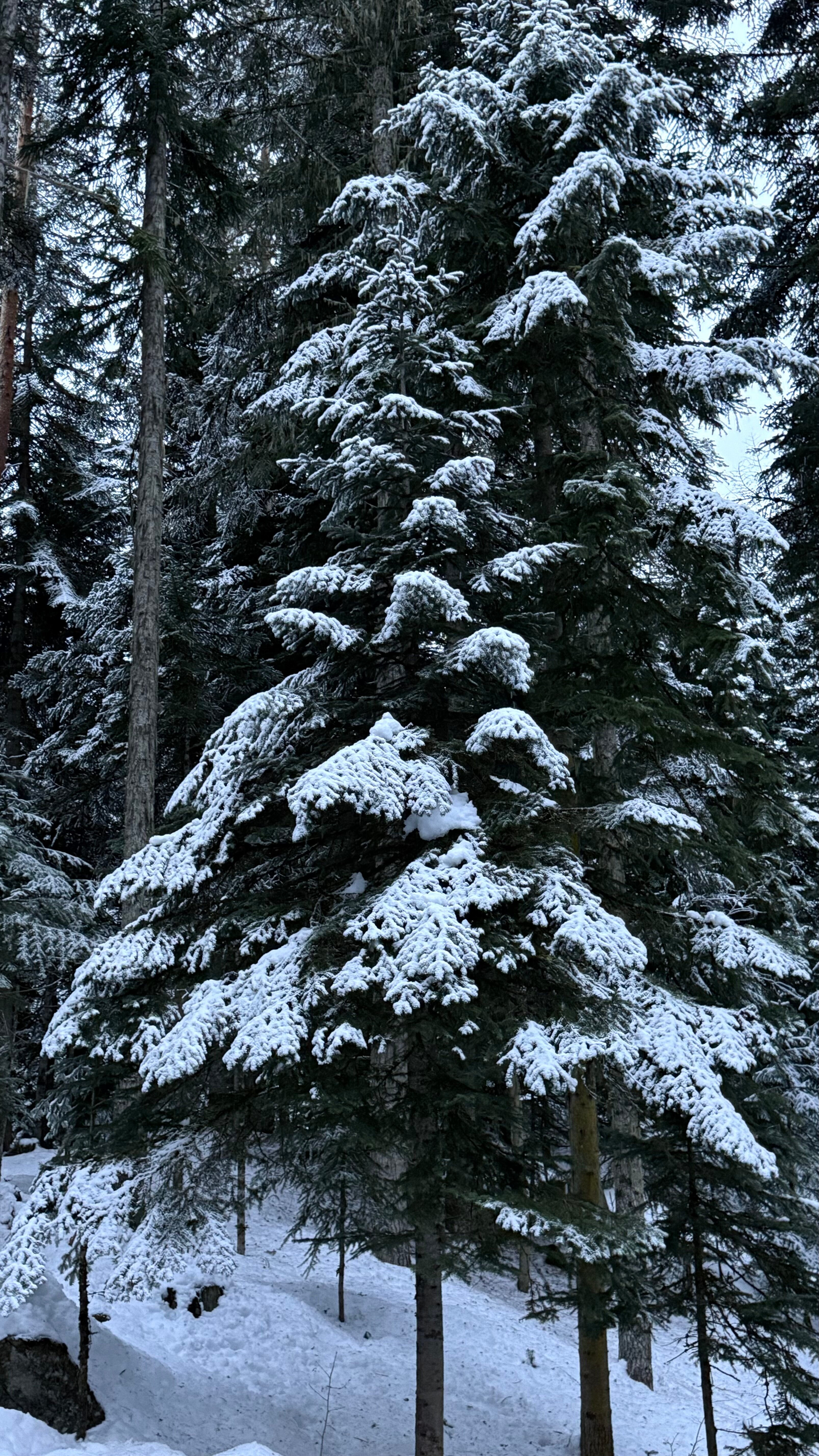 Фото 7 Звезд