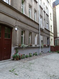 Cat Hostel Krakow