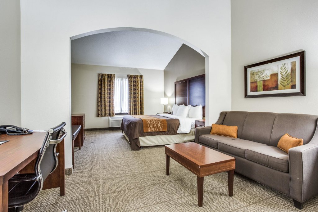 Фото Comfort Inn & Suites Love Field - Dallas Market Center