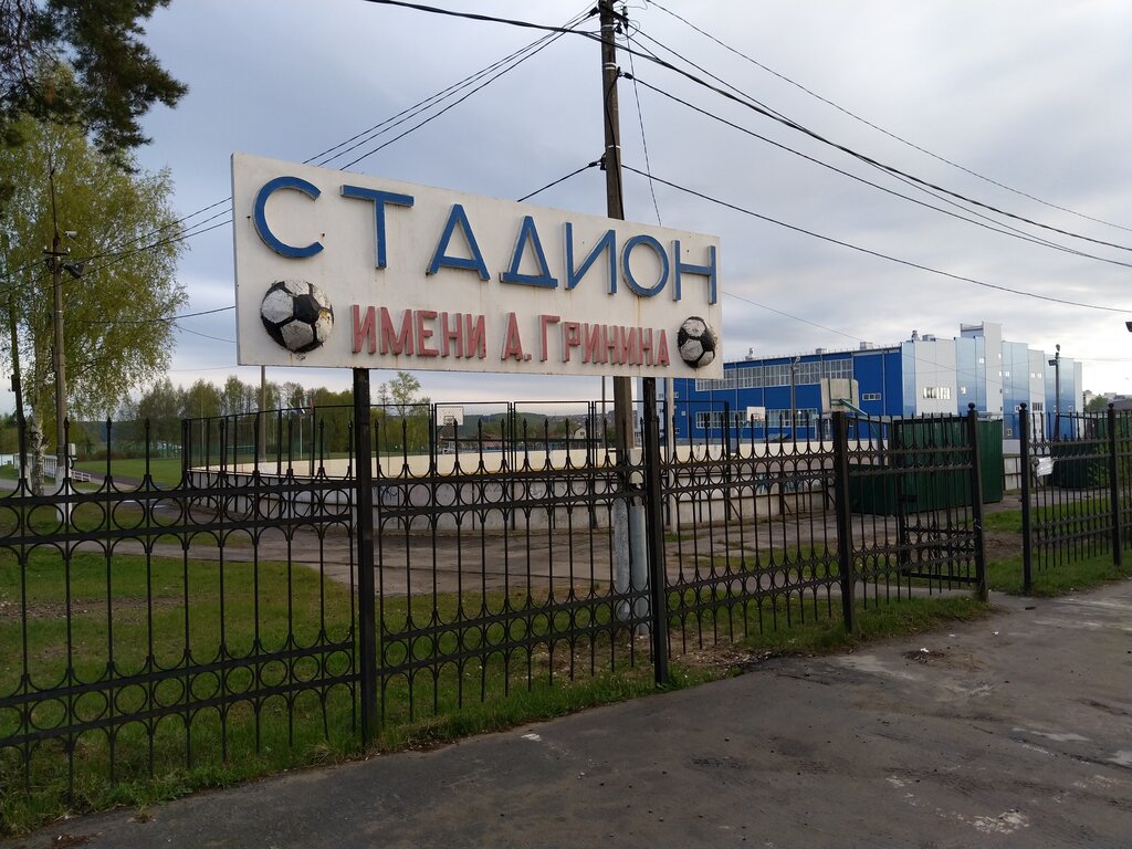 Стадион им а Гринина