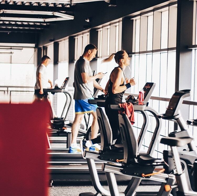 Интернет Магазин Titan Fitness Ru Отзывы