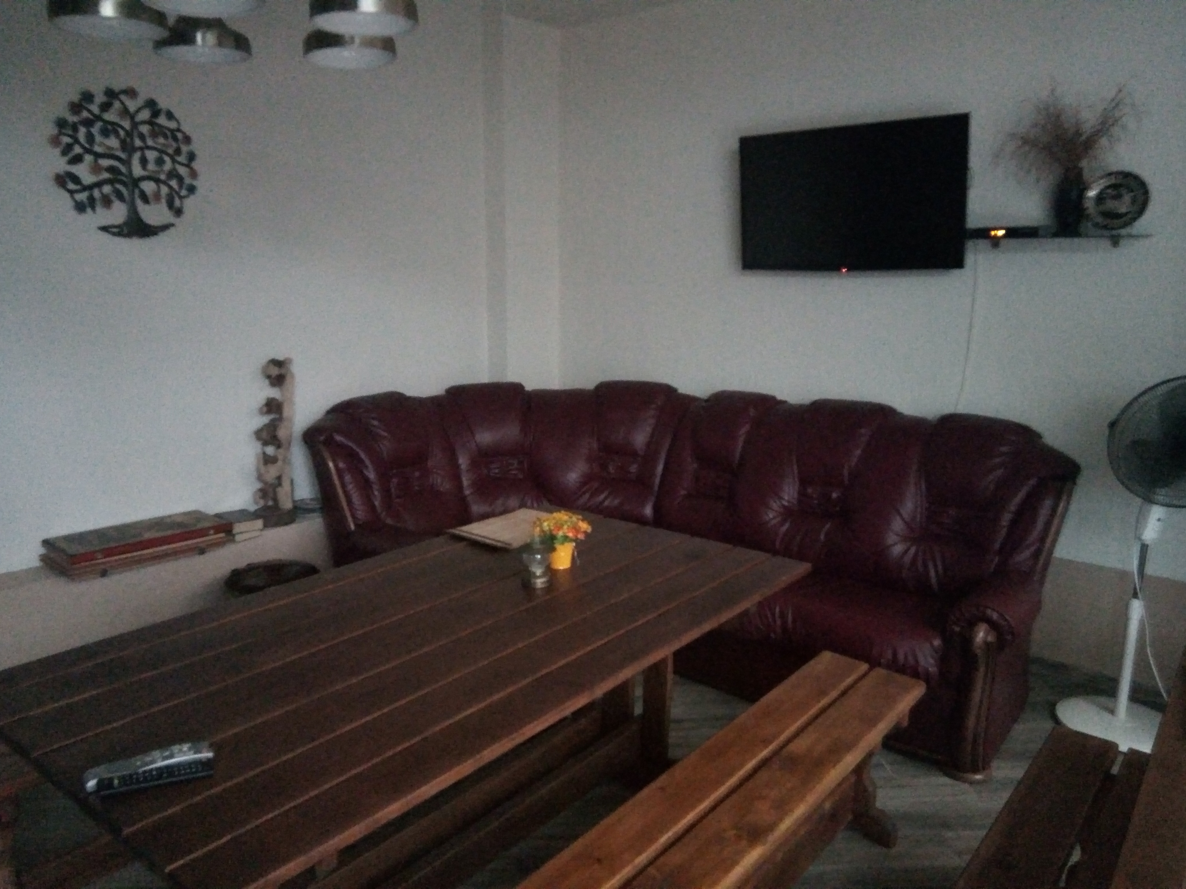 Фото Золотая рыбка