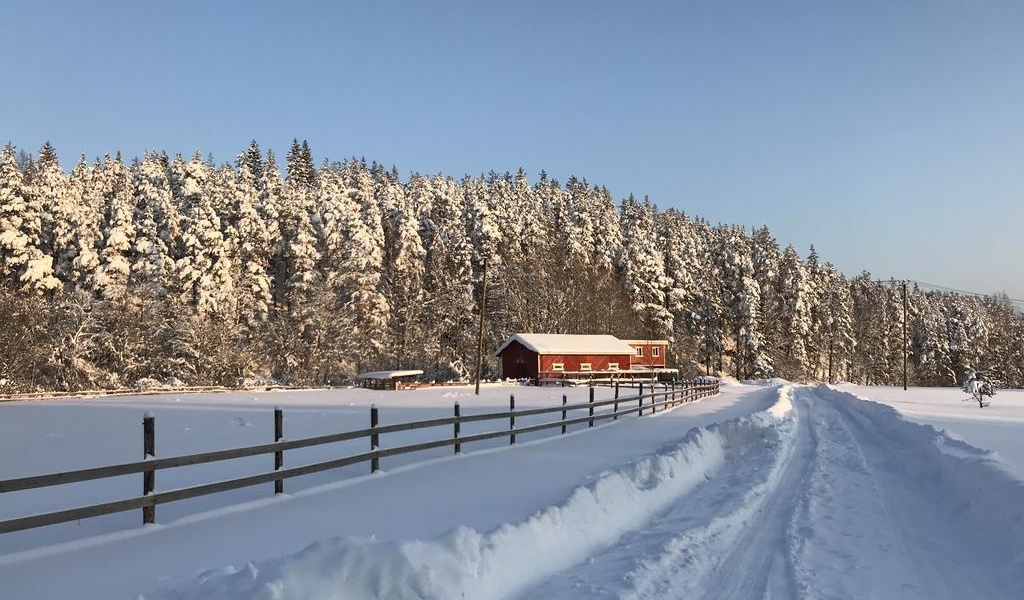 Фото Хутор Ярви