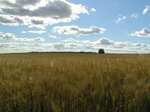 Rossiyskiye prostory (Parkovaya ulitsa, 9), land plots