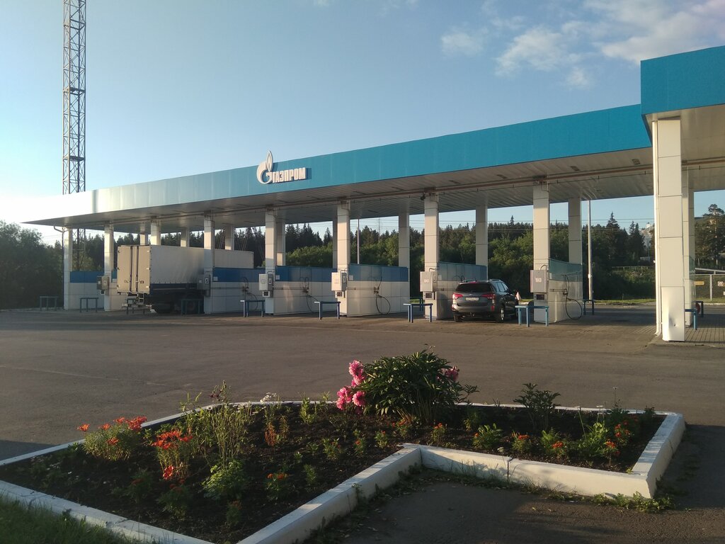 Газпром моторное топливо