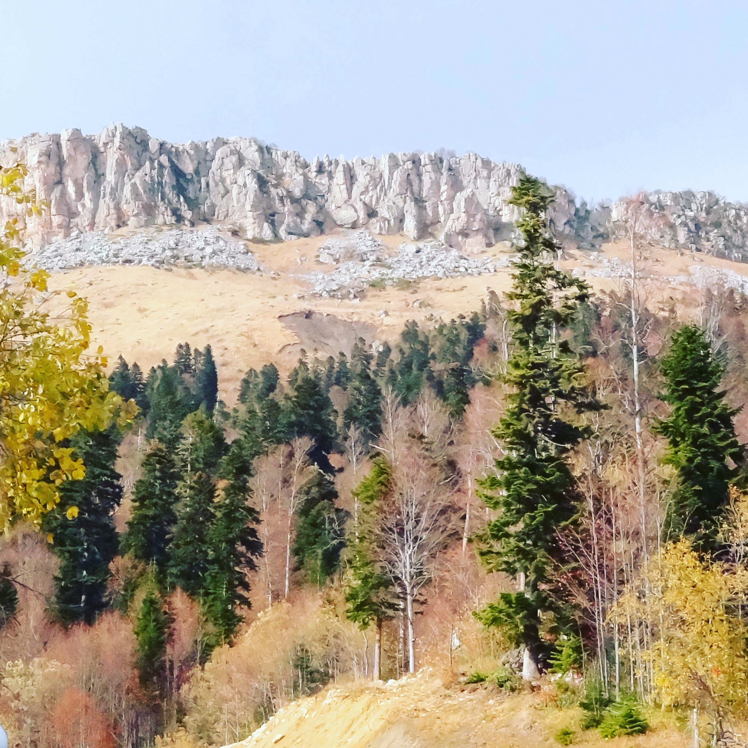 Фото Ранчо