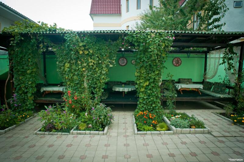 Фото Чемпион