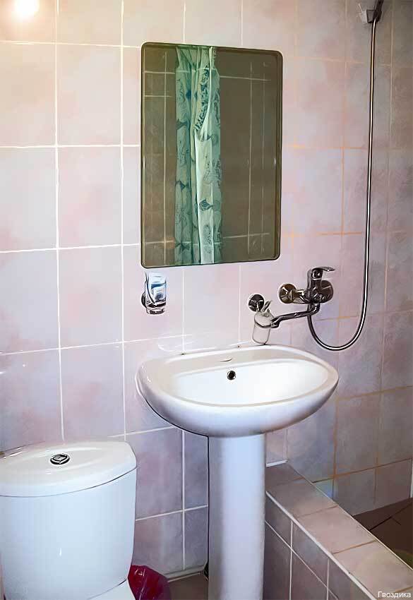 Фото Гвоздика