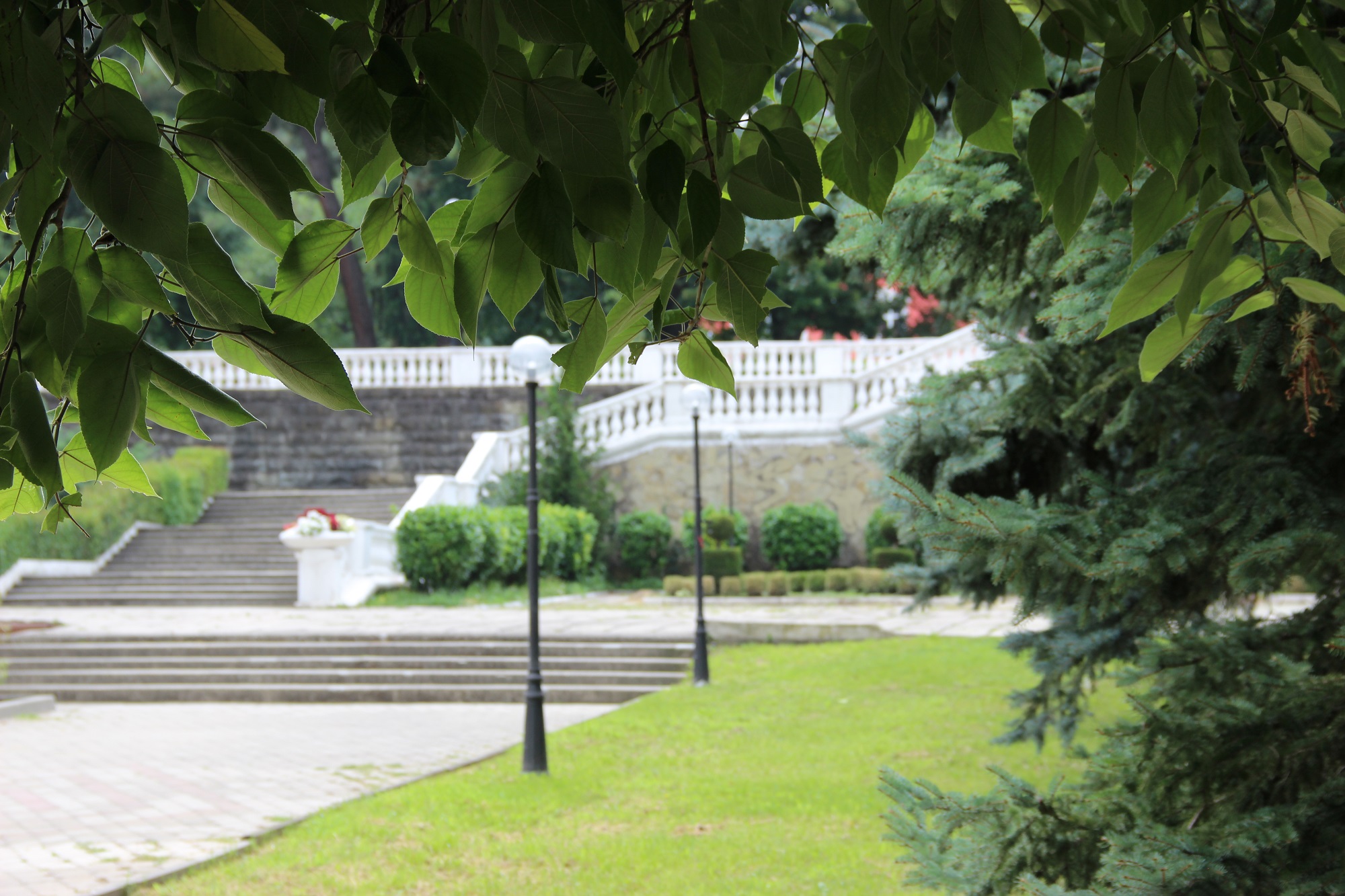 Фото Голубая даль