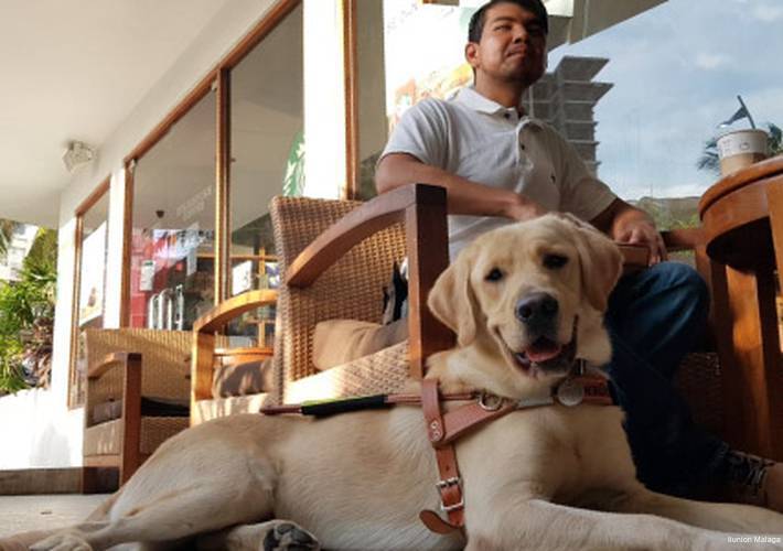 Фото Ilunion Malaga