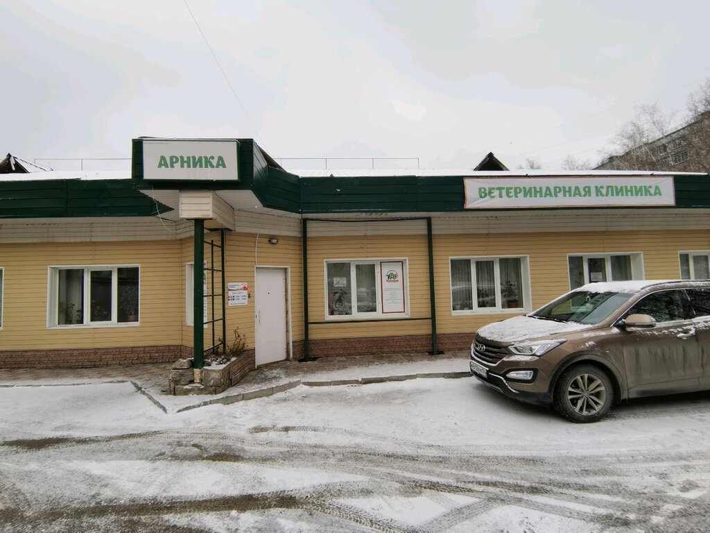 Аптека лада зорге
