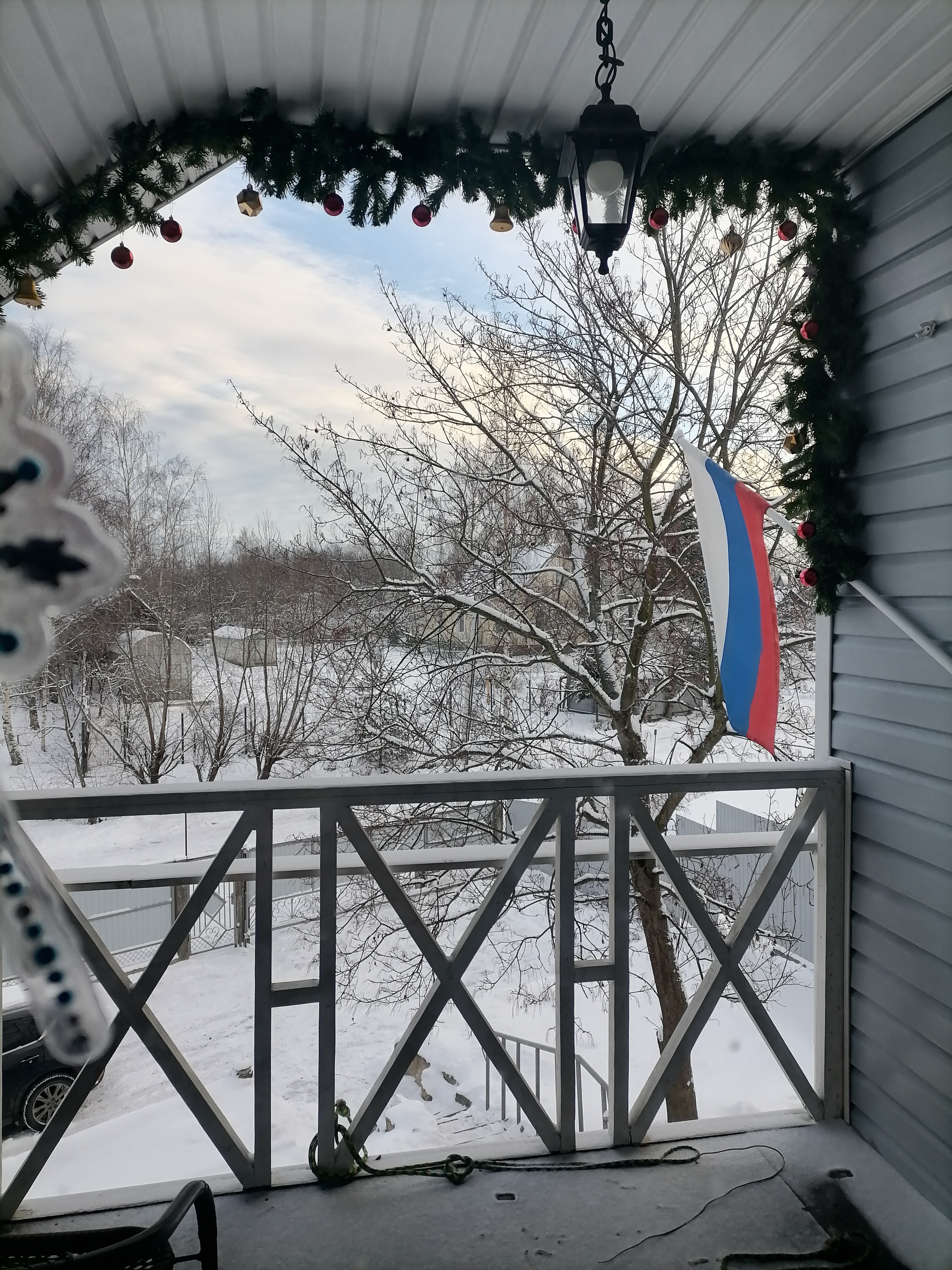 Фото Ёлки на горке