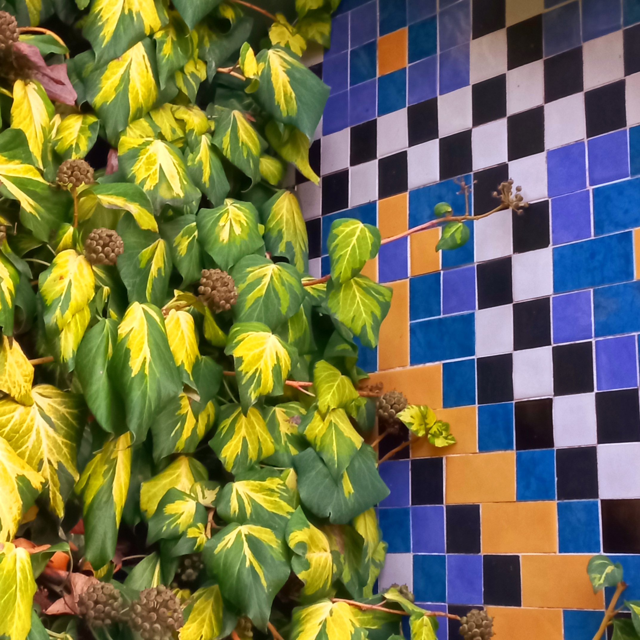 Фото Старый Крым